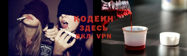 не бодяженный Алексин