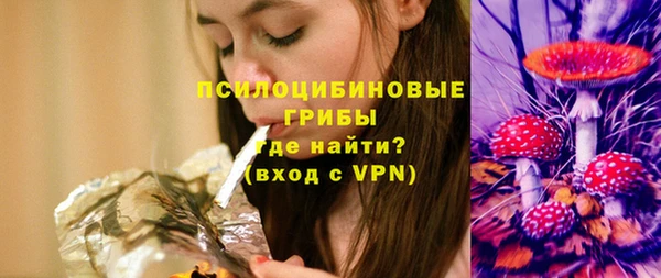не бодяженный Алексин